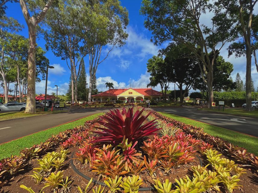 Oahu: North Shore Experience and Dole Plantation - Tropical Farms Macadamia Nuts and Kualoa Regional Park: Quick Stops That Set the Tone