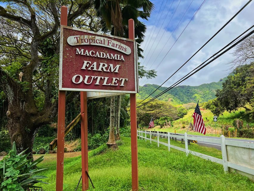Oahu: North Shore Experience and Dole Plantation - Haleiwa Alii Beach: A Calm Break With Real Island Energy