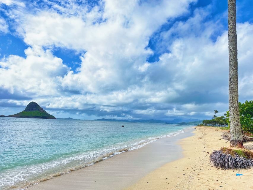Oahu: North Shore Experience and Dole Plantation - Price and Value at $99 Per Person