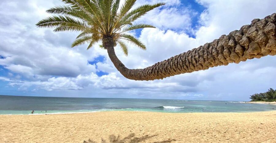 Oahu: North Shore Experience and Dole Plantation - Halona Blowhole and Cove: The Pacific’s Loudest Photo Stop
