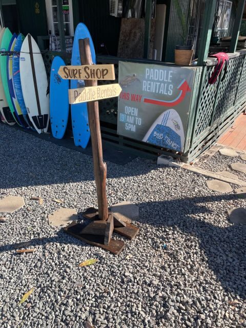 Oahu: North Shore Haleiwa Paddleboard River Adventure - Wildlife spotting: how to look for turtles without getting distracted