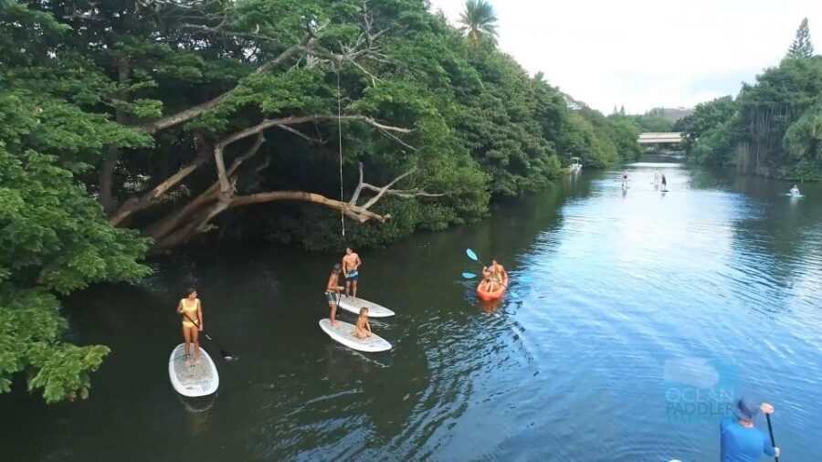 Oahu: North Shore Haleiwa Paddleboard River Adventure - Haleiwa Bay is optional—know when to choose the river
