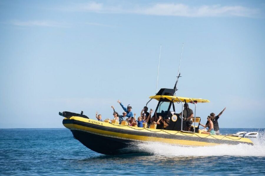 Oahu: North Shore Marine Life Tour from Haleiwa - Winter-Only Whale Watching for Humpbacks