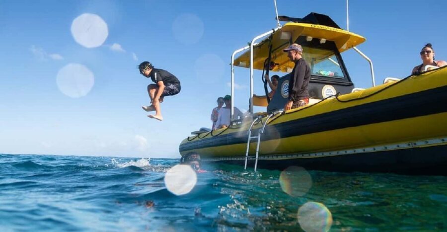 Oahu: North Shore Snorkeling Tour from Haleiwa - Price and value: is $110 worth 2 hours on the water?