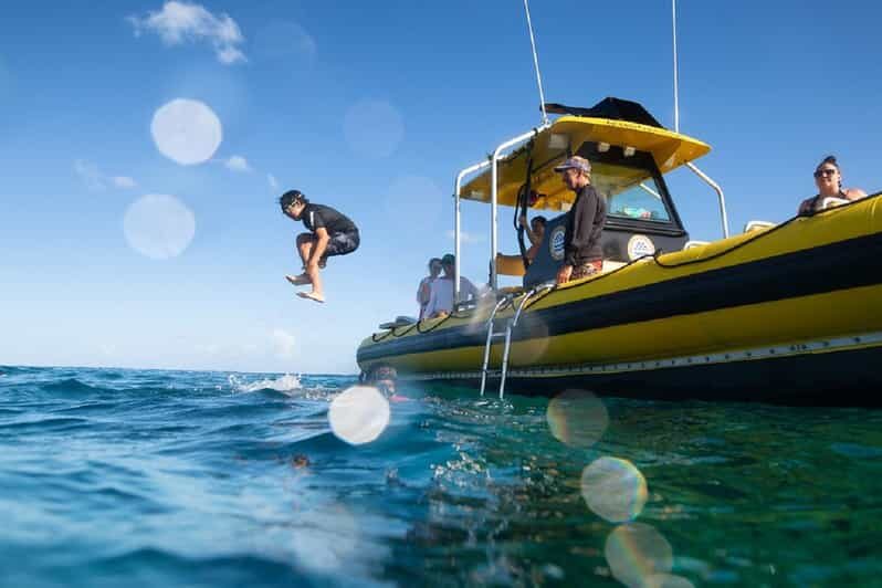 Oahu: North Shore Snorkeling Tour from Haleiwa - Who should book this North Shore snorkeling outing