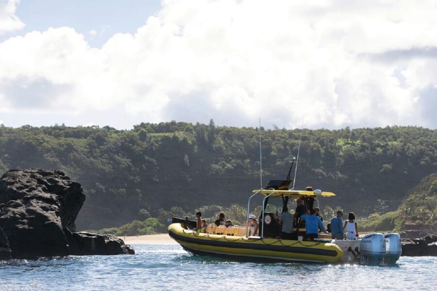 Oahu: North Shore Snorkeling Tour from Haleiwa - Small details that make the difference