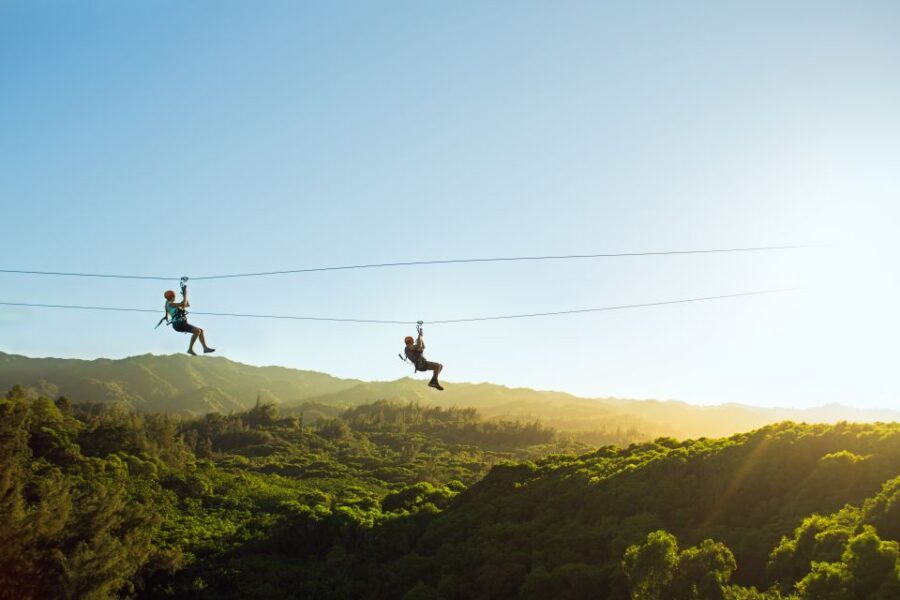 Oahu: North Shore Zip Line Adventure with ATV and Farm Tour - The zip line course: 8 dual runs and nonstop scenery