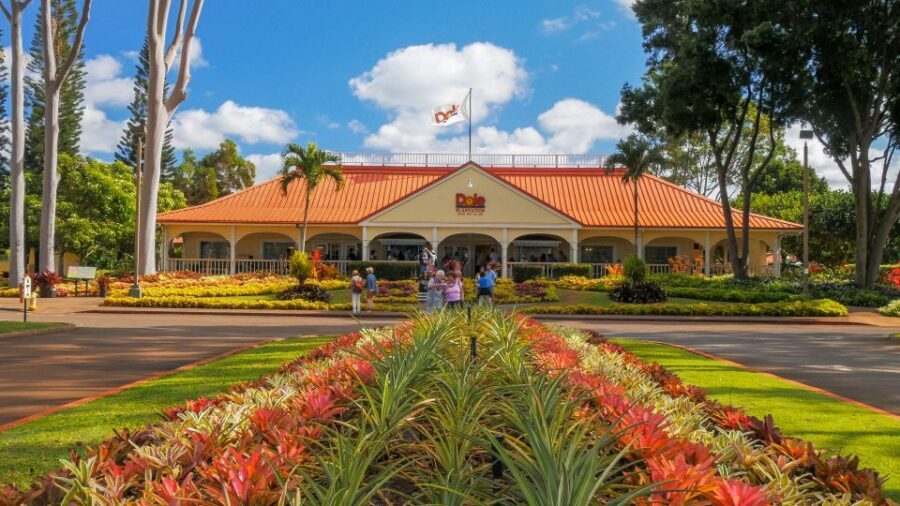 Oahu: Oahu Ultimate Grand Circle Island Tour - Price and Logistics: what $84 really buys you