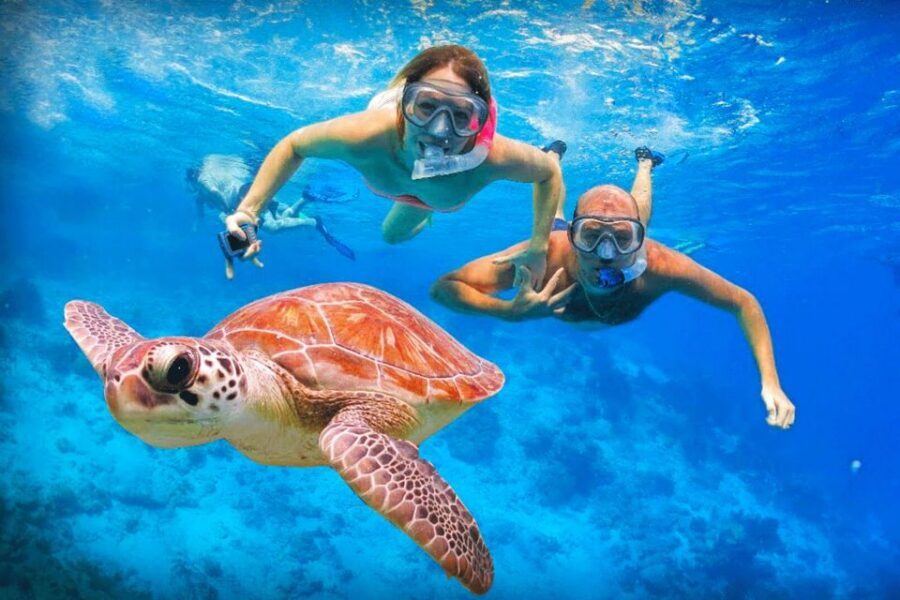 Oahu: Oahu Ultimate Grand Circle Island Tour - Lunch at Tanaka Kahuku Shrimp: how to use the hour