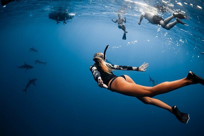 Oahu Open Water Shark Diving Experience - The boat ride reality: spray, comfort, and your photographer