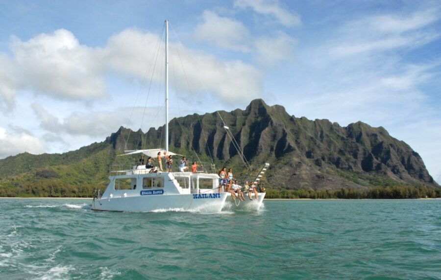 Oahu Pass: Save up to 50% on Top Attractions - Includes Luau - Sea Life and Sunset Fun: Sea Life Park, Turtle Tours, Yoga, and Surf Rentals