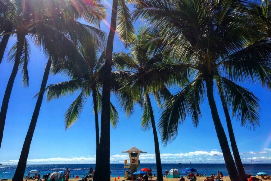 Oahu: Pearl Harbor and Honolulu City Tour - Honolulu city tour stops: Chinatown, ’Iolani Palace, and Downtown views