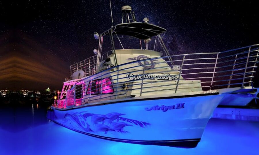 Oahu: Premium Waikiki Sunset Party Cruise with Live DJ - Golden Hour to City Lights: Diamond Head, Surfers, and Sea Life Chances