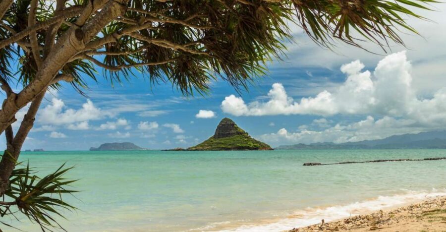 Oahu: Private Custom Island Tour - Private Oʻahu by luxury car: why $687 per group can make sense