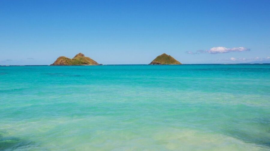 Oahu: Private Custom Island Tour - Laniakea turtles to Haleiwa: nature, then small-town strolling