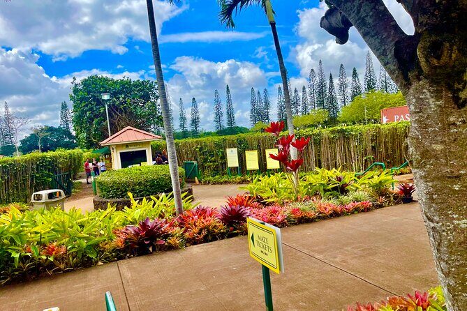Oahu: Roundtrip Shuttle From Waikiki to Dole Plantation & Haleiwa - Key highlights at a glance