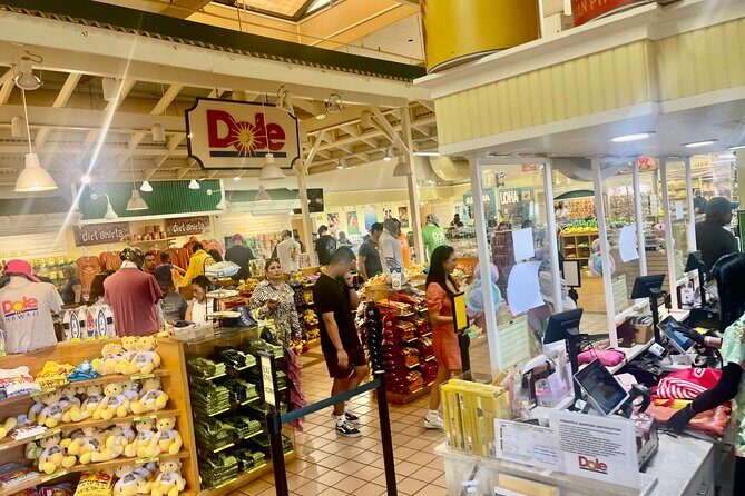 Oahu: Roundtrip Shuttle From Waikiki to Dole Plantation & Haleiwa - Stop 3: North Shore Macadamia Nut Company for samples and a quick reset