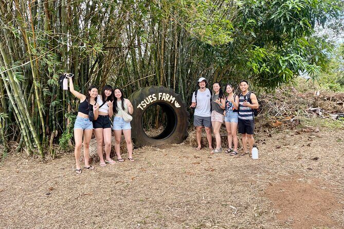 Oahu: Roundtrip Shuttle From Waikiki to Dole Plantation & Haleiwa - Stop 4: Haleiwa Town Center for shrimp, shave ice, and surf-shop browsing
