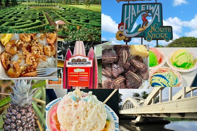 Oahu: Roundtrip Shuttle From Waikiki to Dole Plantation & Haleiwa - The guides: what you get from the human part of the drive