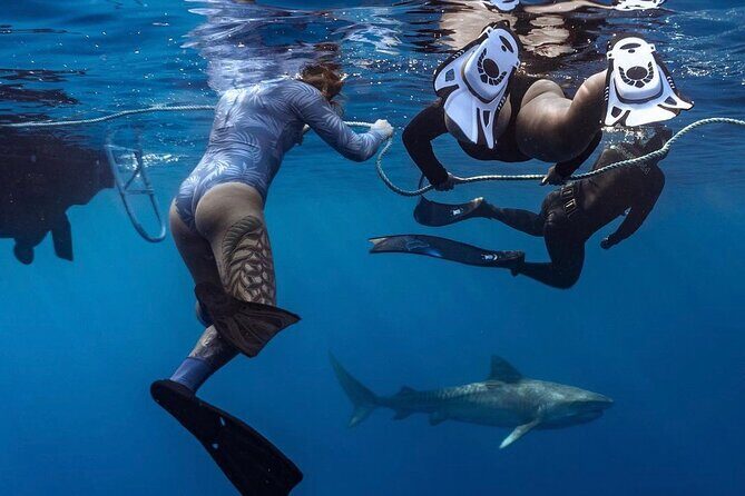 Oahu Shark Dive Educational Tour (No cage) - Key things that make this tour worth your time