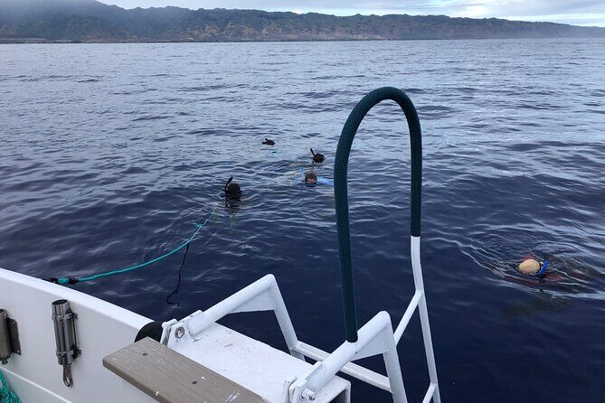 Oahu Shark Dive Educational Tour (No cage) - Optional Underwater Photos: The Value Play for Camera People