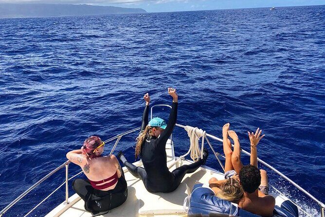 Oahu Shark Dive Educational Tour (No cage) - Who This Tour Fits Best (and Who Should Think Twice)