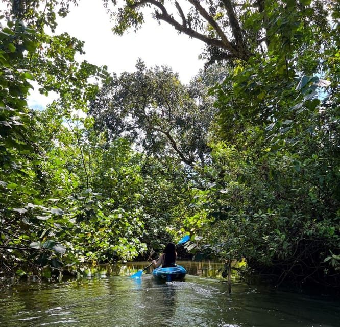 Oahu: Single & Double Kayak 3-Hour River Rental - Key things to know before you paddle