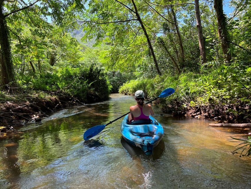Oahu: Single & Double Kayak 3-Hour River Rental - Safety on the water: what’s included and what to think about