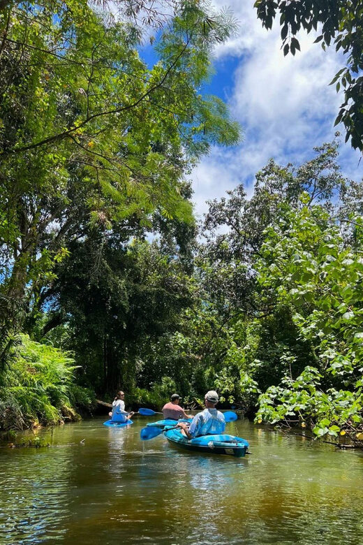 Oahu: Single & Double Kayak 3-Hour River Rental - Price and value on Oahu: $75 per person for 3 hours