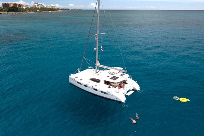 Oahu Small Group Snorkel Tour with Yacht Cruise - West Oahu coast wildlife watch: dolphins, whales, and turtle odds