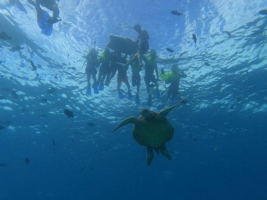 Oahu Snorkeling with Turtles, Water Scooter, Paddleboard - Turtle Canyon Snorkeling and the 100% Sea Turtle Promise