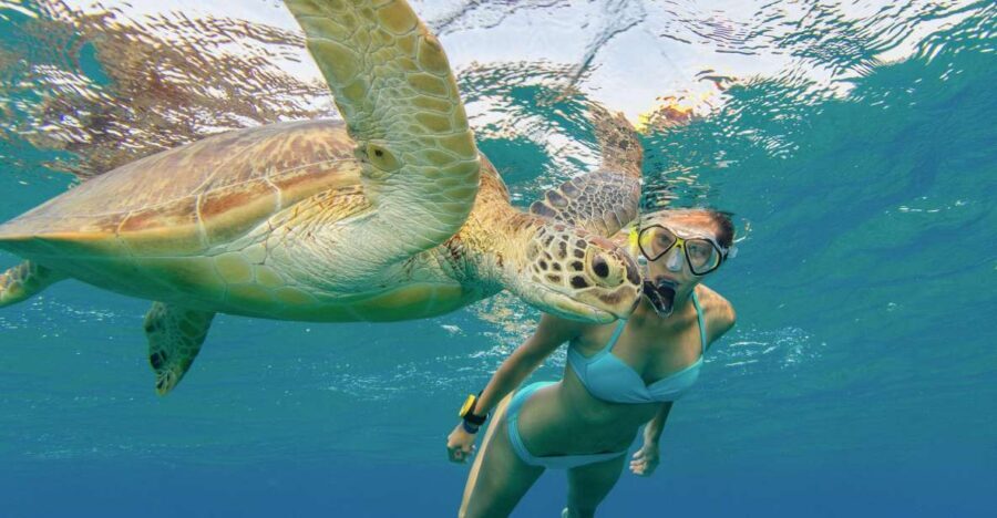 Oahu Snorkeling with Turtles, Water Scooter, Paddleboard - Electric Water Scooter: Fun Gear, Real Limits on Time
