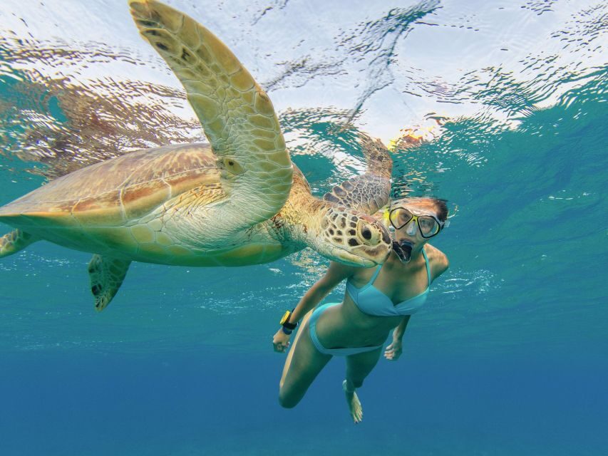Oahu Snorkeling with Turtles, Water Scooter, Paddleboard - Stand-Up Paddleboard in Open Water: Good for Balance, Great for Views