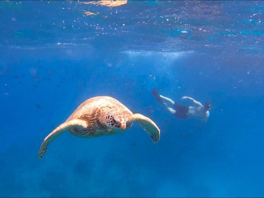 Oahu Snorkeling with Turtles, Water Scooter, Paddleboard - Snacks, Noodles, and Musubi: Why the Food Part Matters