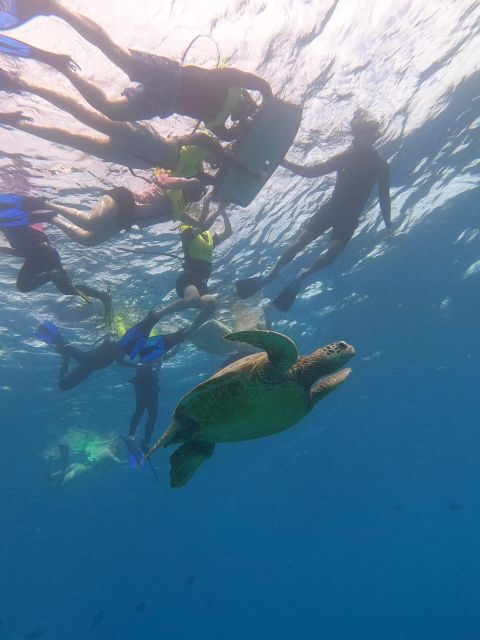 Oahu Snorkeling with Turtles, Water Scooter, Paddleboard - Who This Tour Fits Best (And Who Might Prefer Another Option)