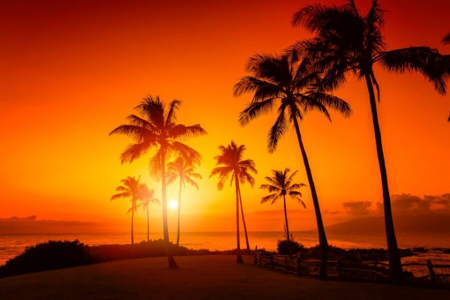 Oahu: Sunset Cruise of West Oahu with Drinks and Appetizers - Key things to know before you go
