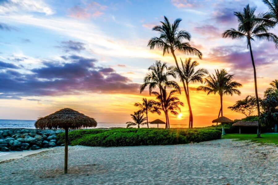 Oahu: Sunset Cruise of West Oahu with Drinks and Appetizers - Wildlife and the “bonus moment” factor