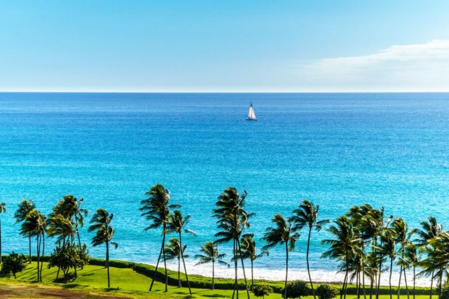Oahu: Sunset Cruise of West Oahu with Drinks and Appetizers - Crew matters: the difference between nice and great service