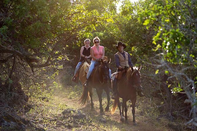 Oahu Sunset Horseback Ride - Gunstock Ranch and the North Shore vibe you’re really buying