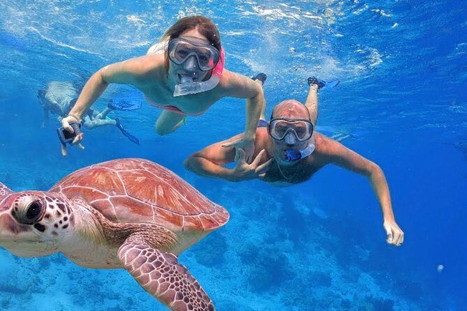 Oahu Ultimate Circle Island Tour Full Day Experience - Why This Oahu Circle Route Works for First-Timers