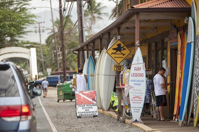 Oahu Ultimate Circle Island Tour Full Day Experience - Sea Turtles on the North Shore: What That 1-Hour Snorkel Stop Means