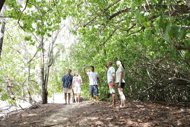 Oahu Uncovered: Full Island Tour with a Local Guide - Why a full-circle Oahu drive is the right first move