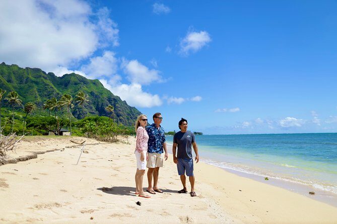 Oahu Uncovered: Full Island Tour with a Local Guide - Tropical Farms macadamia stop and Ehukai’s winter surf reality