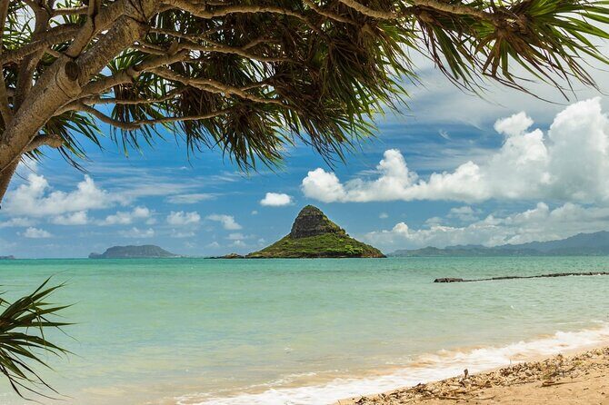 Oahu Unveiled: Tailored Luxury Private Island Tour - Private Oahu Day That Moves With Your Group