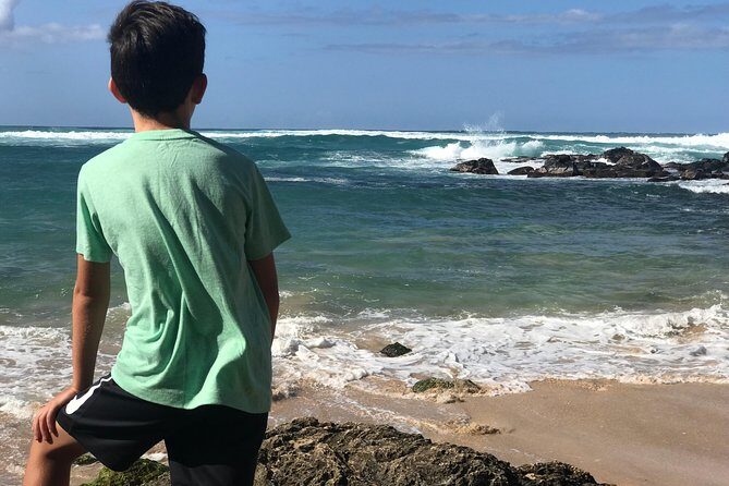 Oahu Unveiled: Tailored Luxury Private Island Tour - Diamond Head Lookout, Whale-Season Chances, and Halona Blowhole