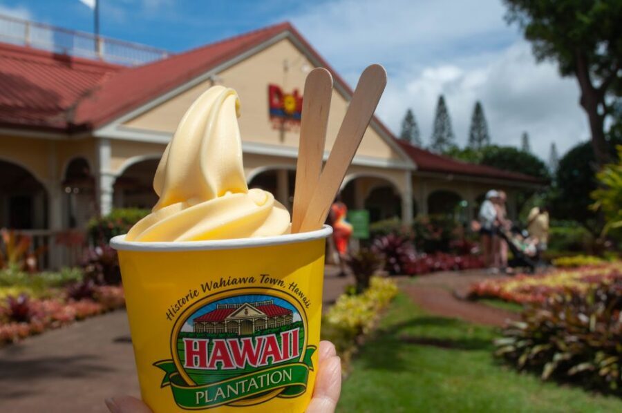 Oahu: Valley of Waimea Falls Swim & Hike with Lunch & Dole - Enter Waimea Valley: Easy Trail, Big Variety of Scenery