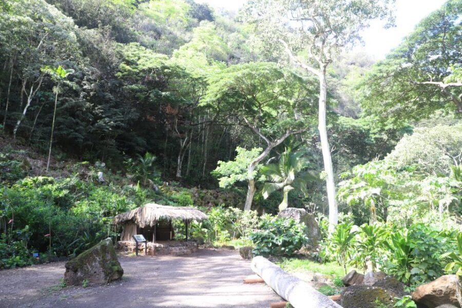 Oahu: Valley of Waimea Falls Swim & Hike with Lunch & Dole - Hawaiian Hale and Game Sites: Culture Stops That Don’t Feel Like a Lecture