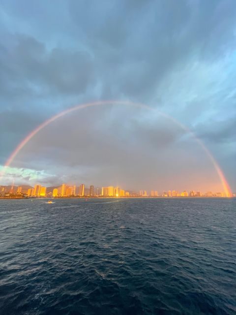 Oahu: Waikiki BYOB Sunset Cruise - Wildlife odds: turtles, dolphins, and whales (and what to expect in each season)