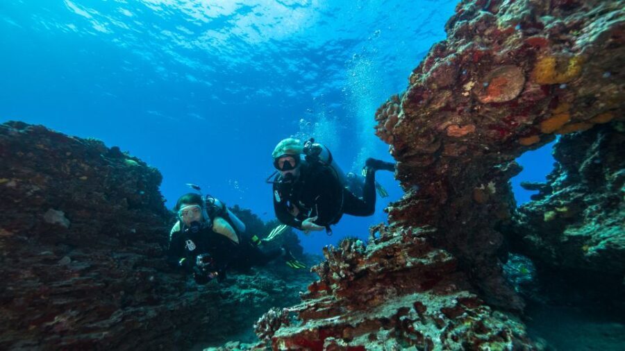 Oahu: Waikiki Discovery Scuba Diving for Beginners - First-Timer Scuba on Oahu Reefs: What Makes This Work