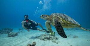 Oahu: Waikiki Discovery Scuba Diving for Beginners - The 3-Hour Schedule: From Harbor to Reef and Back Again